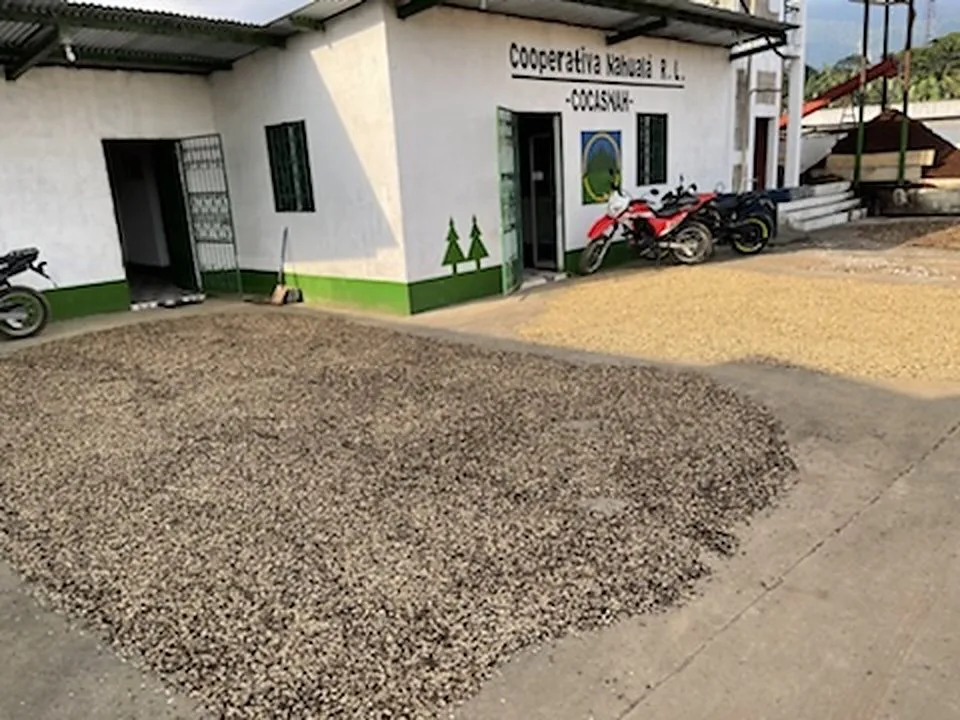 Café en parche séchant au sol sur le patio en ciment de la coopérative Nahualá