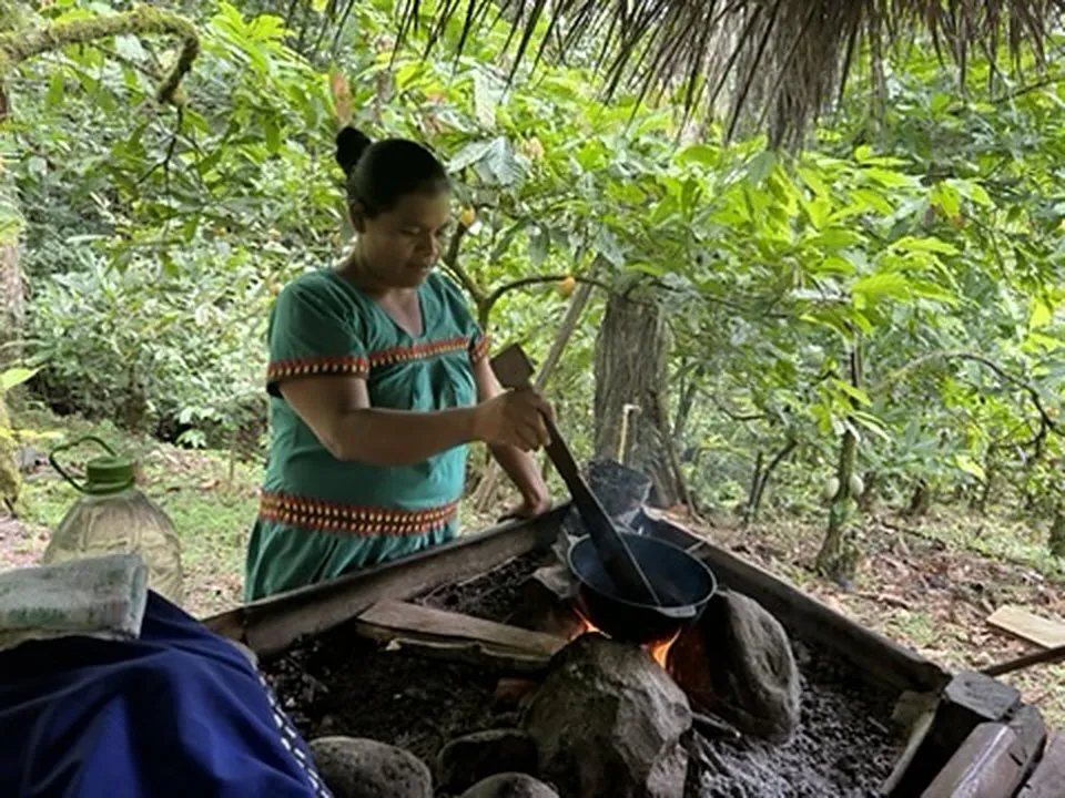 Une femme prépare un repas au feu de bois, sous un abri de palmes, à l'ombre des arbres