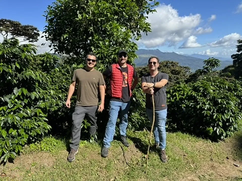 Trois membres de l'équipe Bibal devant les caféiers, la cordillère de Chiriquí en arrière-plan