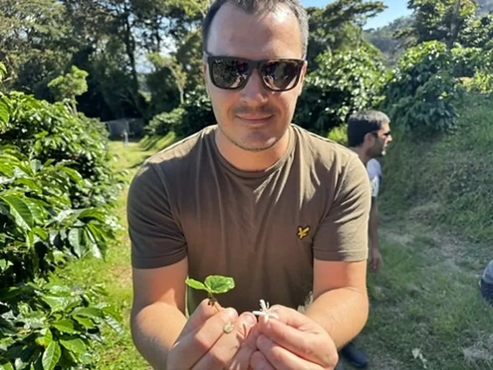 Un membre de l'équipe Bibal tient dans ses mains un jeune plant de caféier et une fleur de café blanche