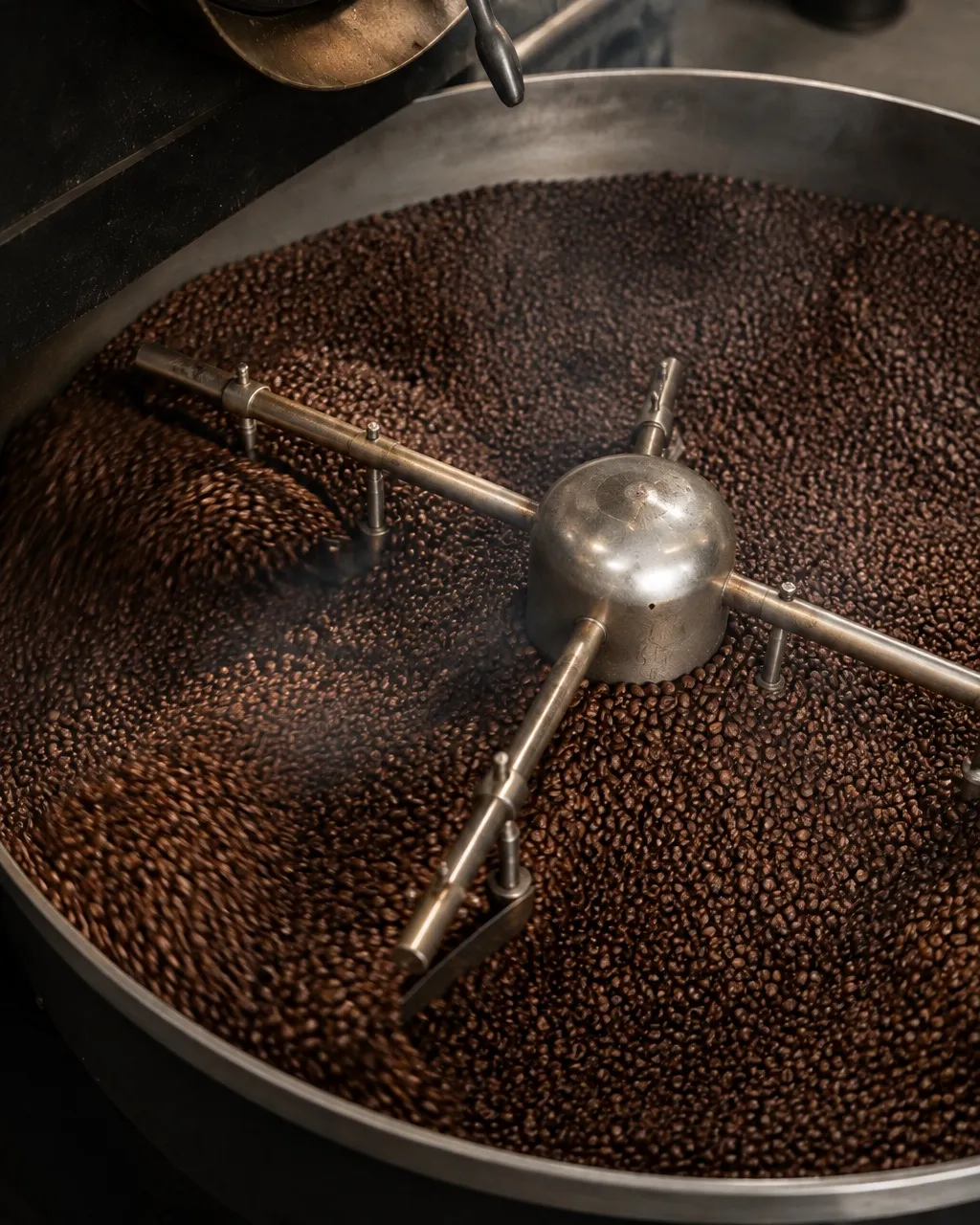 Grains de café fraîchement torréfiés dans le bac de refroidissement du torréfacteur, à l'atelier de Saint-Aunès