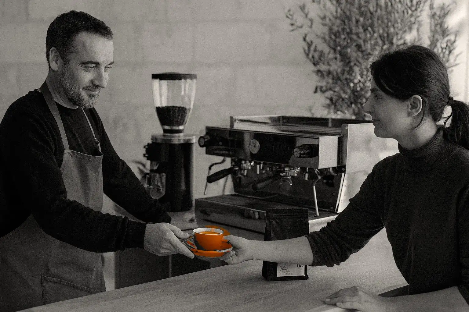 Un café de spécialité