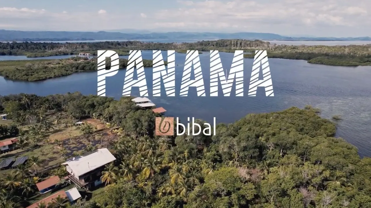 Vignette de la vidéo Panama : vue aérienne de la côte et de la forêt